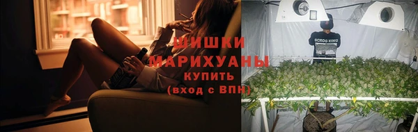 трава Аркадак