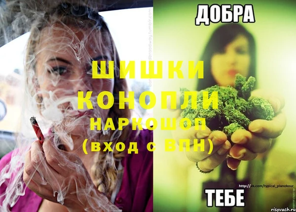 дживик Армянск